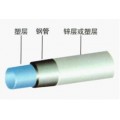 Ϳ䓹