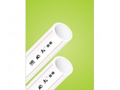 PP-RX܏(f)Ϲ