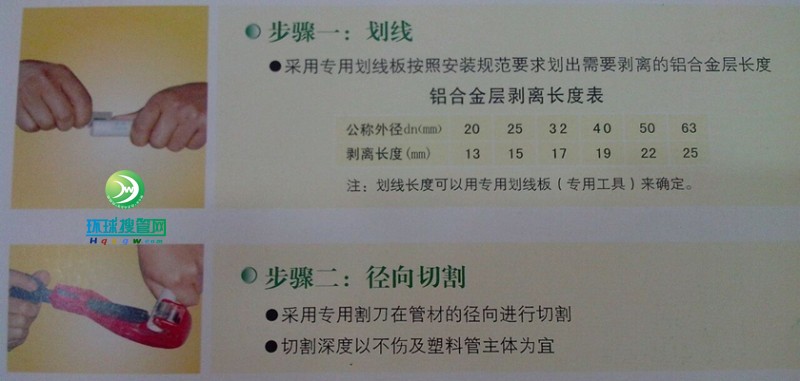 圖片2