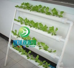PVC管5
