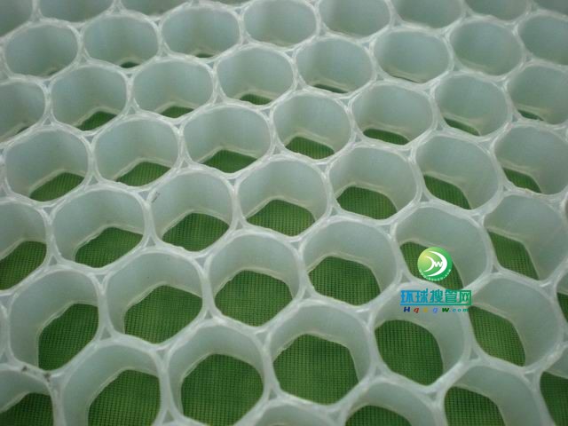 聚丙烯