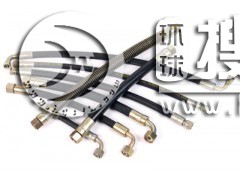 ߉z