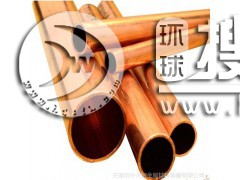 ֱ~ T2ڏ