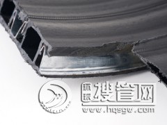 ͨ(qing)ͽY(ji)(gu)ڹܳвʽ